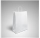 Coated paper bag 12x32x42 wing twisted