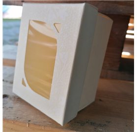 F/C -dp 100x70x60mm miele com janela transparente