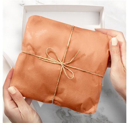Tissue Paper seda Salmão