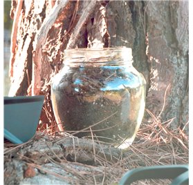 Frasco de Vidro Jarro 1,7L