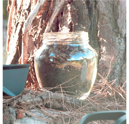 Bocaux en verre Jarro 1,7L