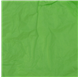 Papier Soie Mint Green 50x75cm