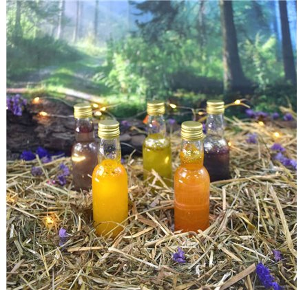 Fiole en verre Pegasus Reborn 40ml 4cl