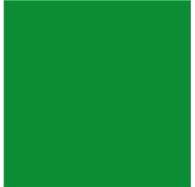Papel de Embrulho 70cm Emerald Plain