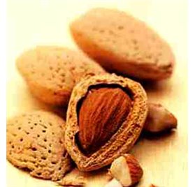 Essential Oil of Almond