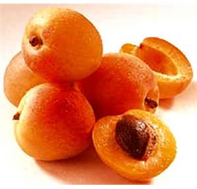 Essential Oil of Apricot 43222
