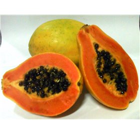 Essential Oil of Papaya 43282