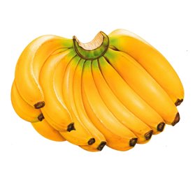 Olio essenziale di banana 47144