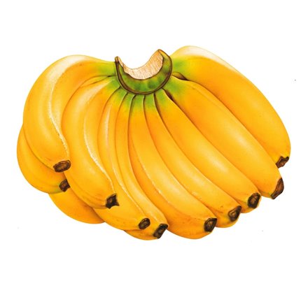 Essential Oil of Banana 47144