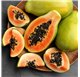 Aceite Esencial de Papaya 47163/200