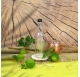 Garrafa de vidro para licores plutão 500ml