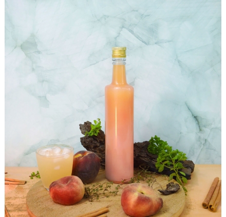 Bottiglia Jupiter 500ml