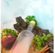 Jupiter 500ml 50cl Bottle