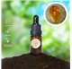 Huile Essentielle d'Ambre Liquide