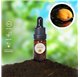 Essential Oil of Apricot 43222/200