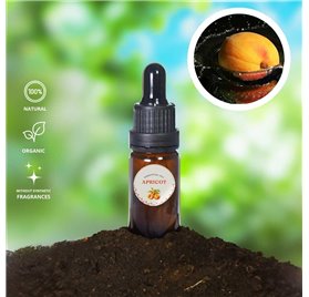 Essential Oil of Apricot 43222/200