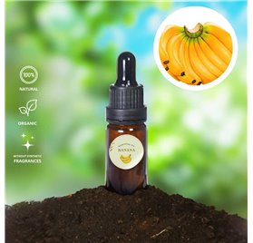 Huile Essentielle de Banane 47144