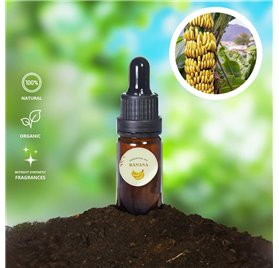 Essential Oil of Banana 714