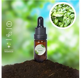 Essential Oil of Basil