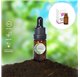 Aceite Esencial de Brandy Tree Stelle