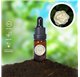 Aceite Esencial de Gardenia