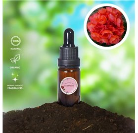 Huile Essentielle de Géranium