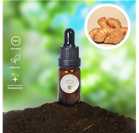 Huile Essentielle de Gingembre