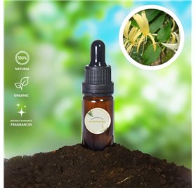 Huile Essentielle de Chèvrefeuille