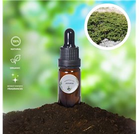 Olio essenziale di ginepro