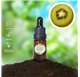 Essential Oil of Kiwi 43265
