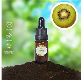 Essential Oil of Kiwi 43265