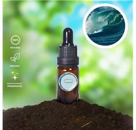 Huile Essentielle Marine 5559