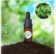 Aceite Esencial de Mejorana