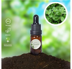 Essential Oil of Marjoram