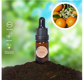 Essential Oil of Orange Blossom