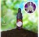Aceite Esencial de Orquídea