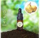 Essential Oil of Pear 47163/200
