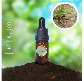Essential Oil of Pine P