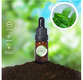 Essential Oil of Pure Peppermint