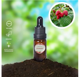 Essential Oil of Raspberry