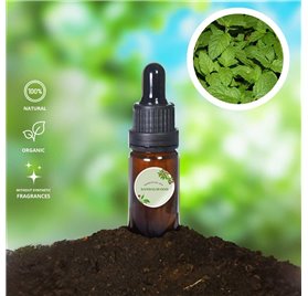 Huile Essentielle de Santal