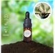 Essential Oil of Savory
