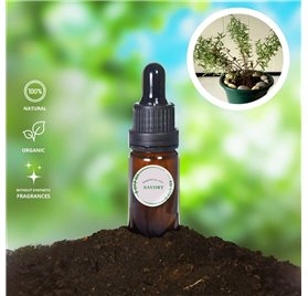 Essential Oil of Savory