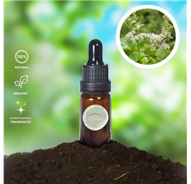 Essential Oil of Queen of the Meadows