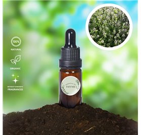 Huile Essentielle de Thym