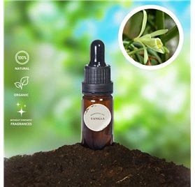 Huile Essentielle de Vanille