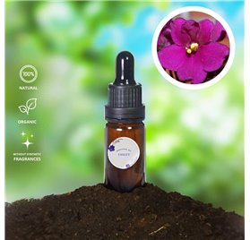 Essential Oil of Violet