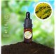 Olio Essenziale di Mimosa