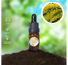 Essential Oil of Mimosa