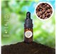 Essential Oil of Coffee 46674/200